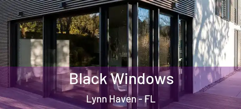 Black Windows Lynn Haven - FL