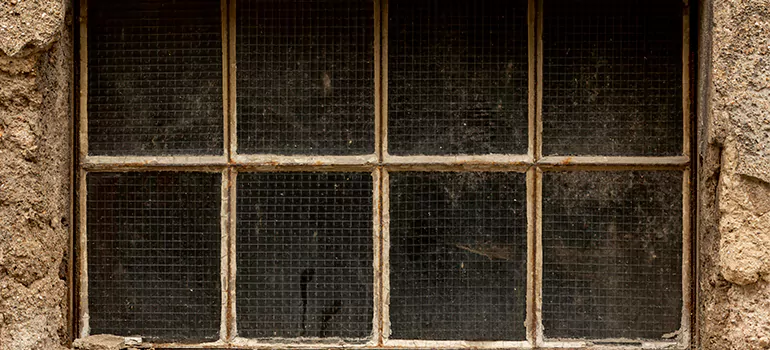 Traditional Double Front Doors in Lynn Haven, FL