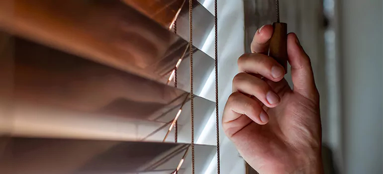 Double Roller Blinds in Lynn Haven, FL