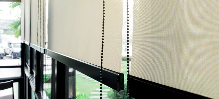 Blackout Window Shades in Lynn Haven, FL