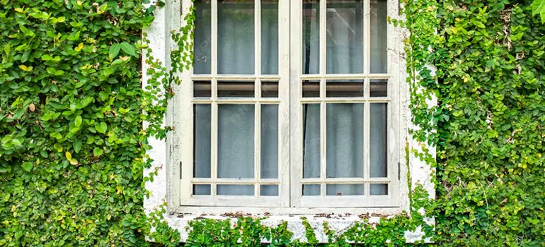 Garden Window Repair Near Me in Lynn Haven, FL