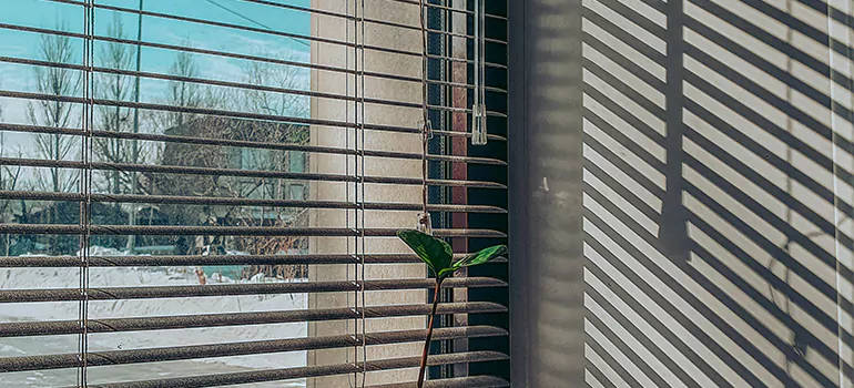 Commercial Window Blinds in Lynn Haven, FL