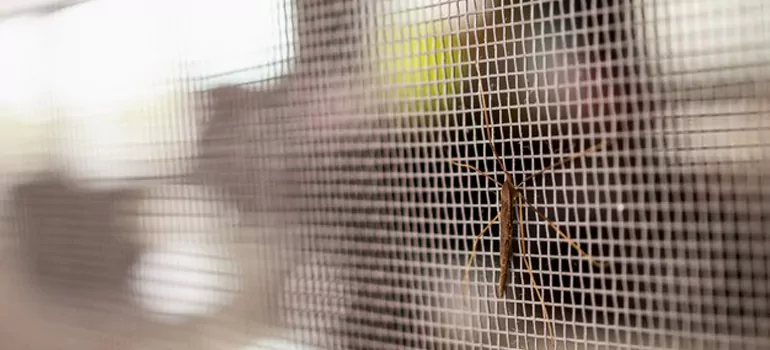 Repair Mosquito Mesh For Windows in Lynn Haven, FL