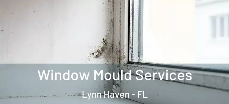 Window Mould Services Lynn Haven - FL